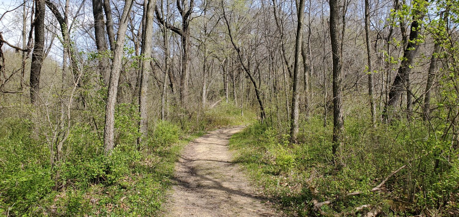 Castle Rock State Park 